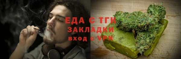 стаф Алзамай