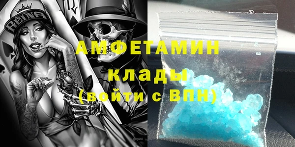 стаф Алзамай