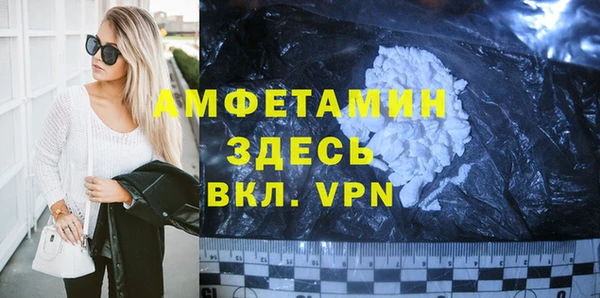 стаф Алзамай